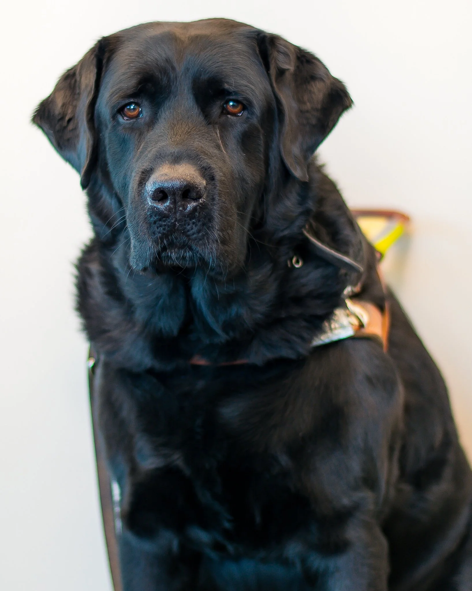 Charlie Fullerton headshot